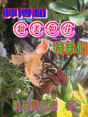 成为豪门狂犬的抱枕